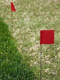 Green Construction Cones