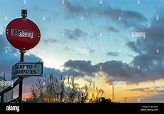 Traffic Signalization Pole